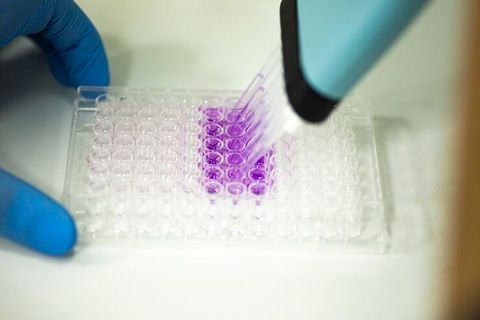 CRISPR Reagents Information Guide: Types, Uses, and Benefits