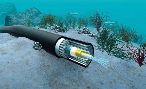Undersea Data Cables Explained: Basics, Facts, and How Global Internet Connectivity Works